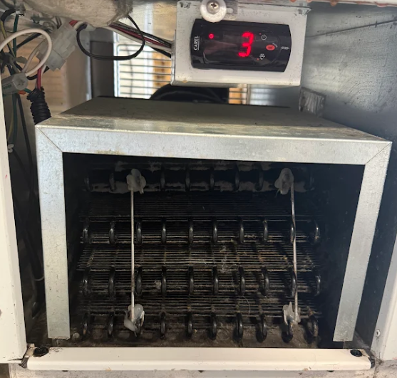 Used 2018 Nelson BD10 Dipping Cabinet Flip Lids