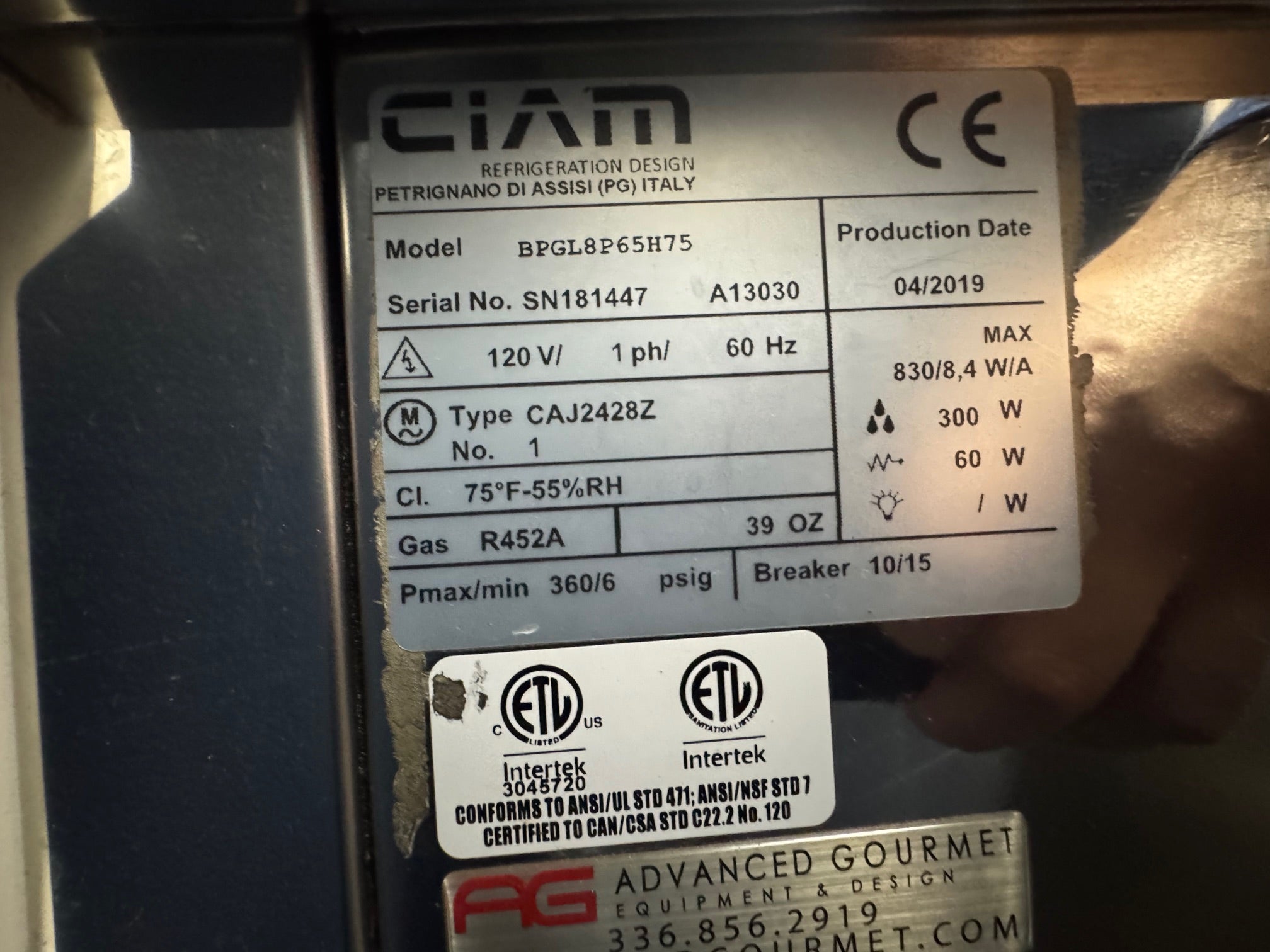 2019 CIAM BPGL8P65H75 12 pan pozzetti gelato case 1ph