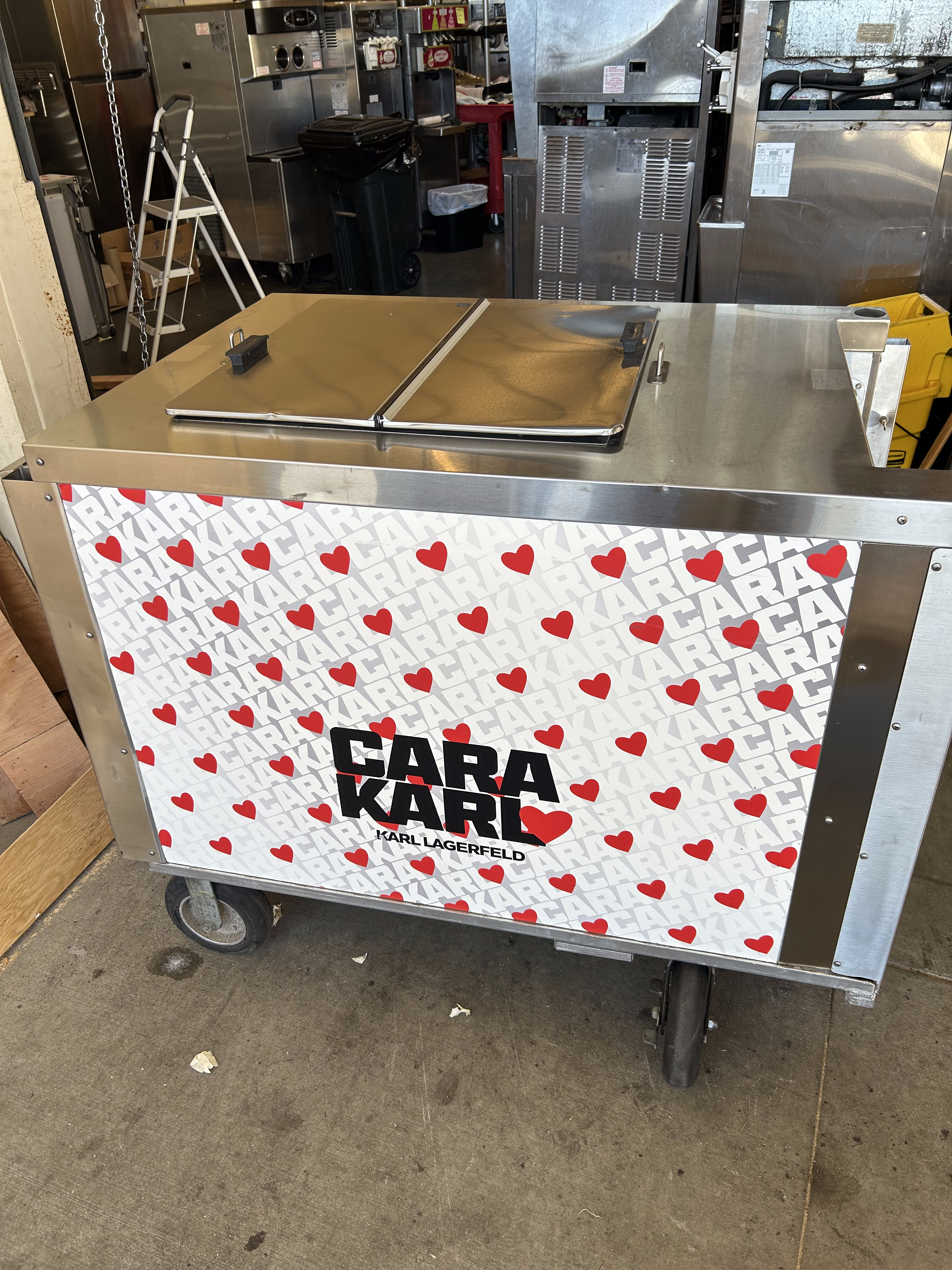 2017 Nelson Ice Cream Push Cart C4431R-CP (BDC8 build) w/ Canopy