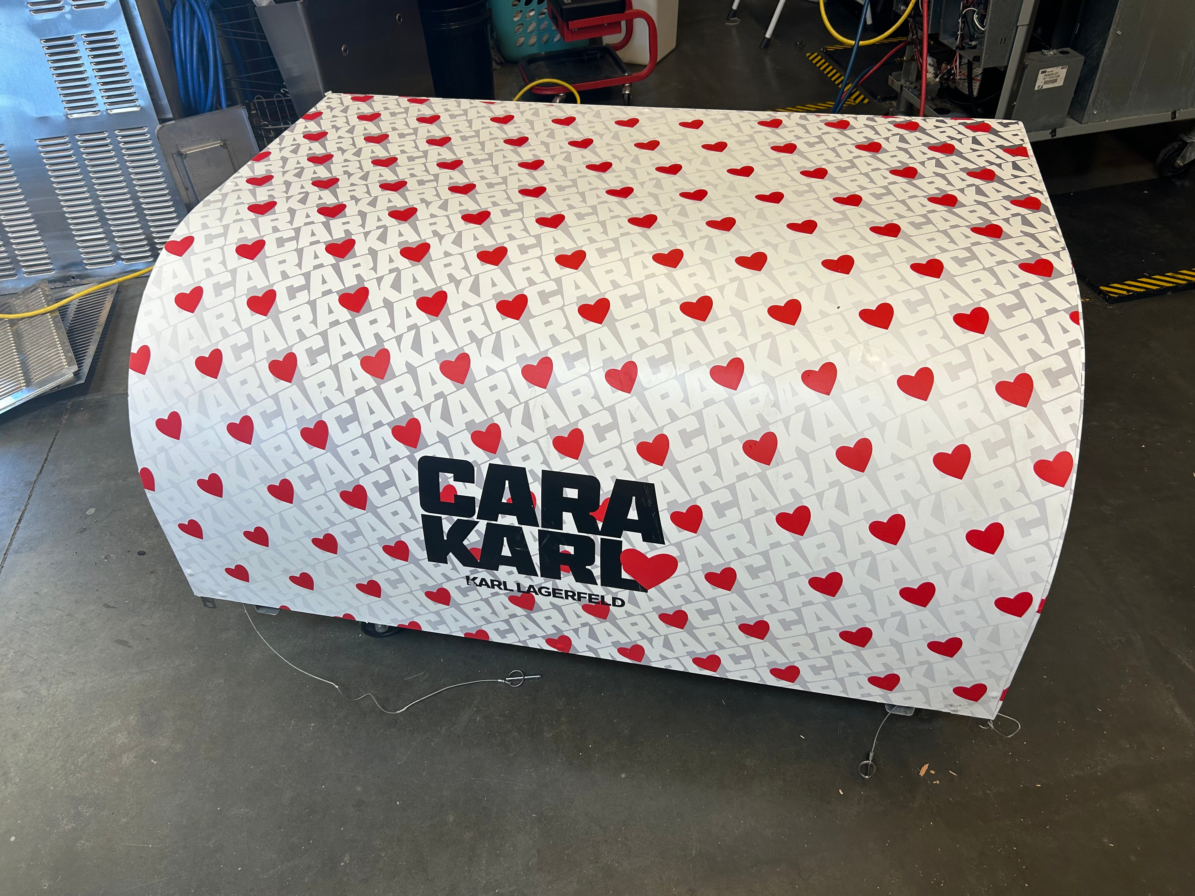 2017 Nelson Ice Cream Push Cart C4431R-CP (BDC8 build) w/ Canopy