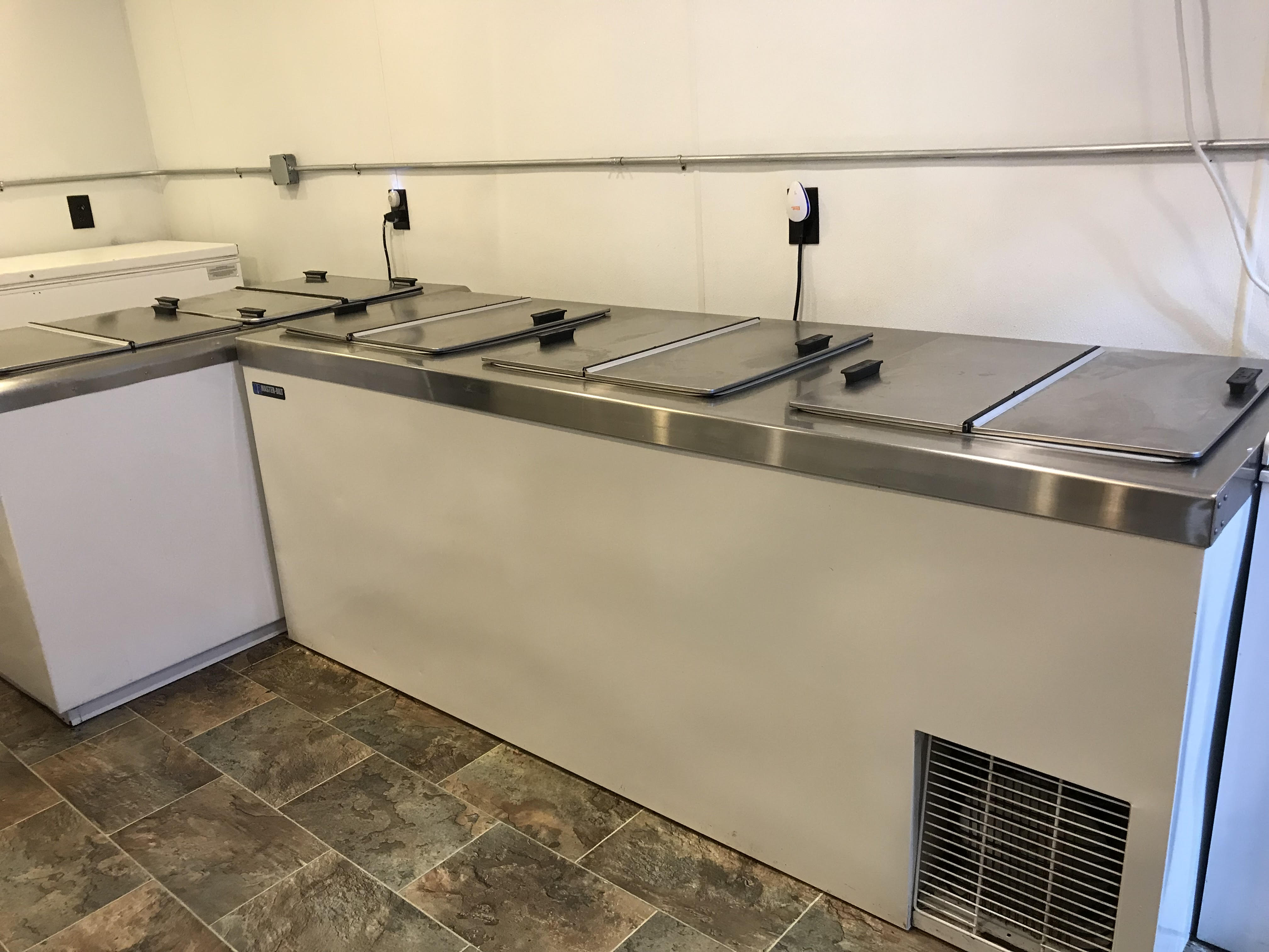 Assorted Dipping Cabinets and Ultra Cold Chest Freezer and Wadden Flavor System