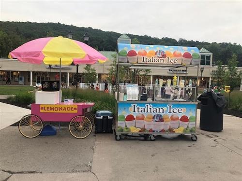 Used Large Nelson Ice Cream Dip Cart with canopy 2017 BD6CE08